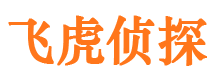 沙坡头外遇调查取证